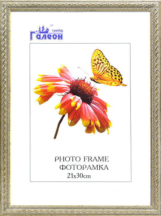 144543 Фоторамка 21х30 / 1606C-A10 