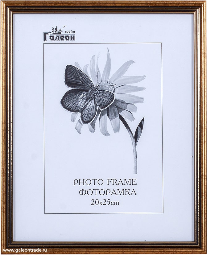 647030 Фоторамка 20х25 