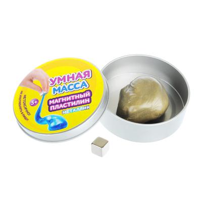 218-006 УМНАЯ МАССА МАГНИТНЫЙ ПЛАСТИЛИН МЕТАЛЛИК (МАГНИТ В КОМПЛЕКТЕ), ПОЛИМЕР, 58-60ГР